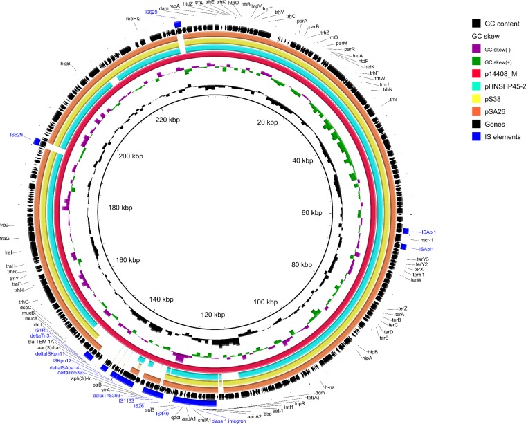 FIG 1