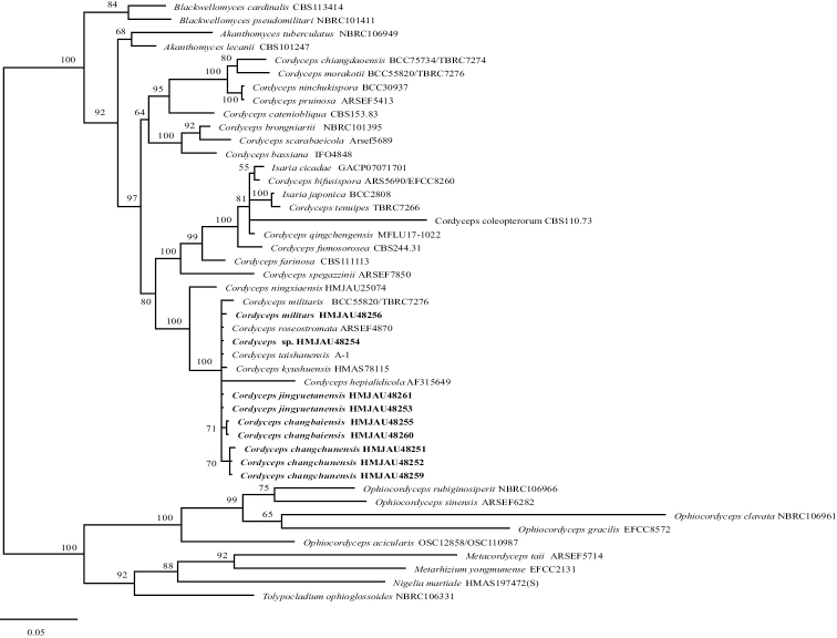 Figure 1.