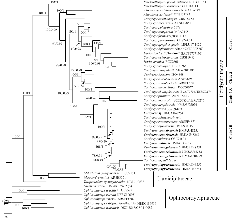 Figure 2.