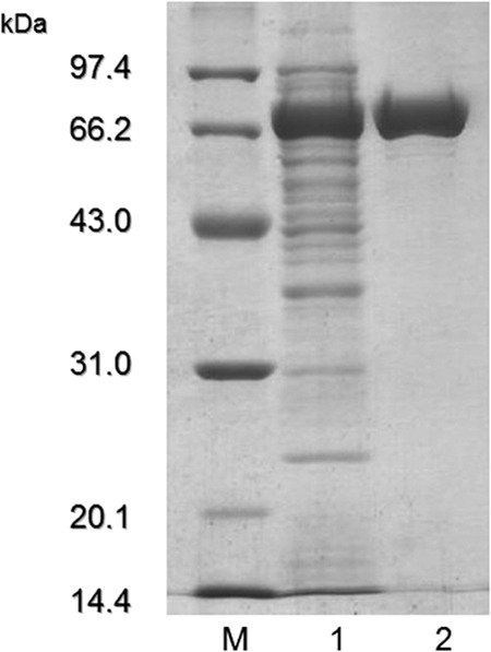 FIG 2