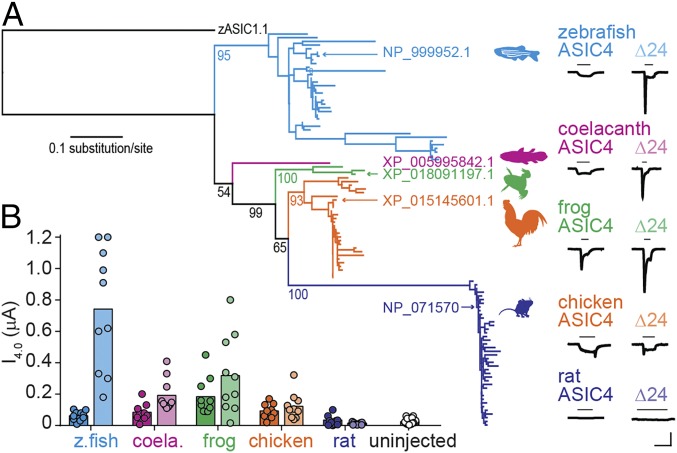 Fig. 3.