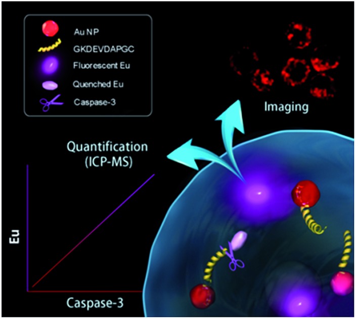 graphic file with name c5sc03363b-ga.jpg