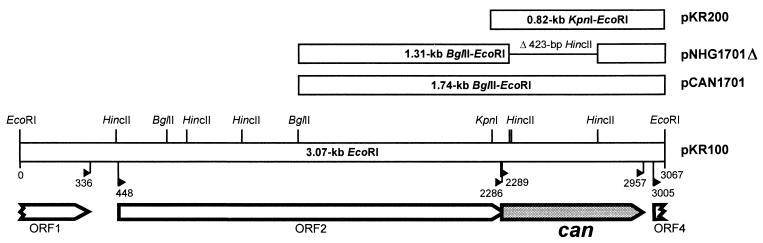 FIG. 1.