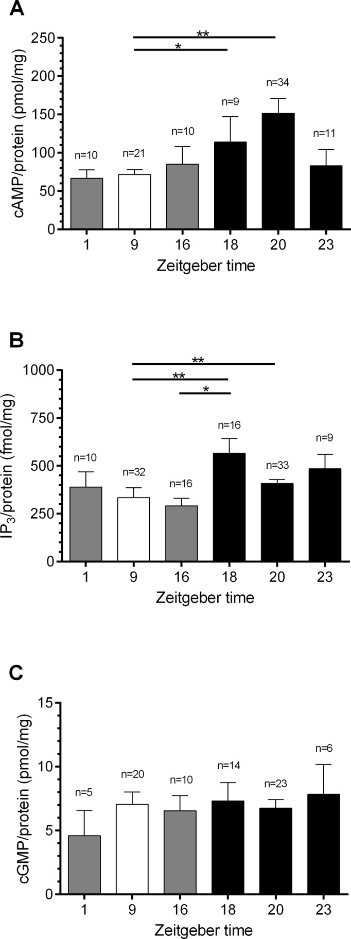 Fig 3