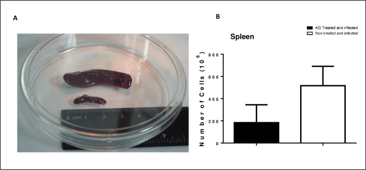 Fig 9