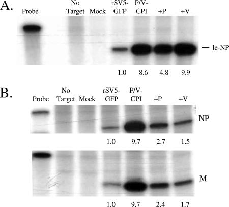 FIG. 8.