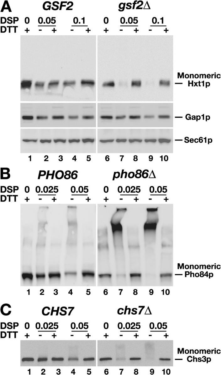 Figure 7.