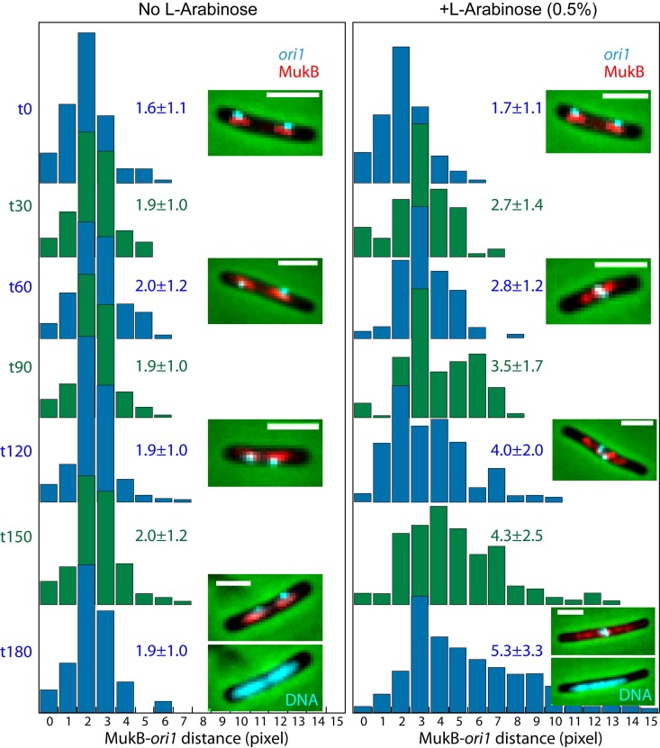 FIG 3 