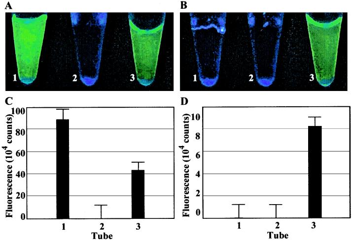 FIG. 7