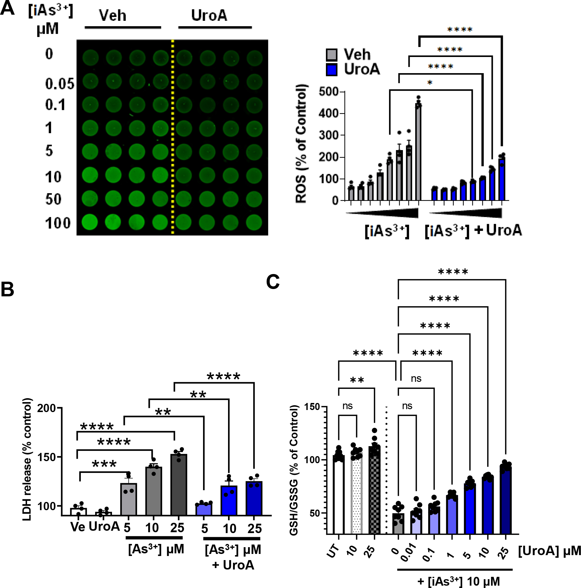 Figure 3: