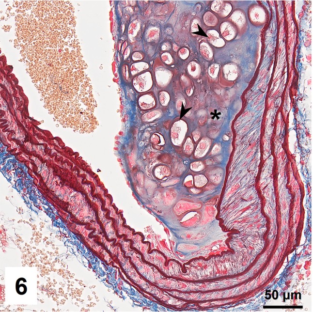 Fig. 6