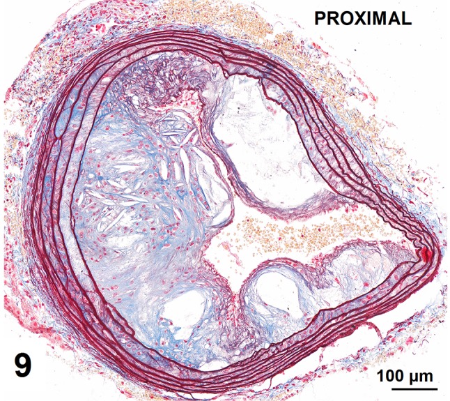 Fig. 9