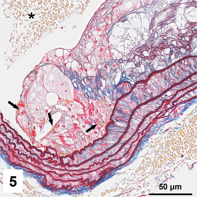 Fig. 5