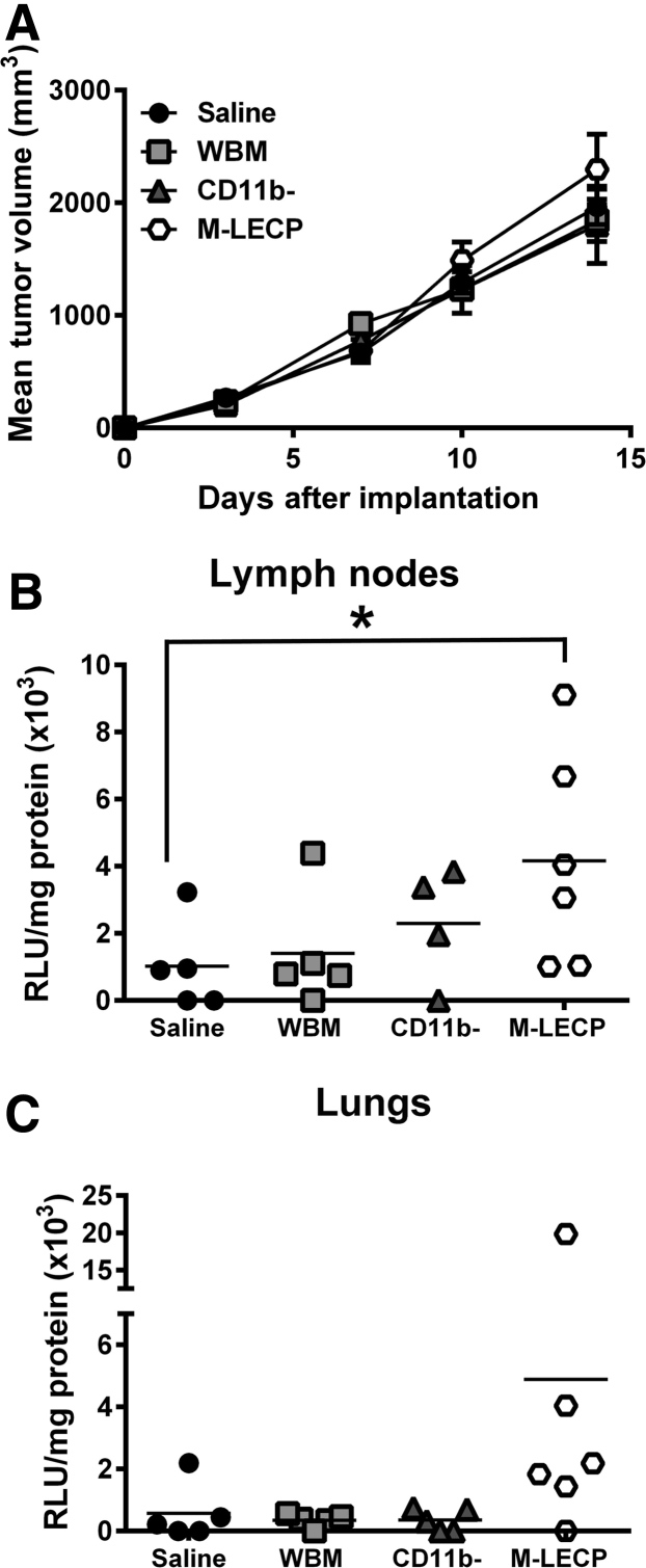 Figure 13