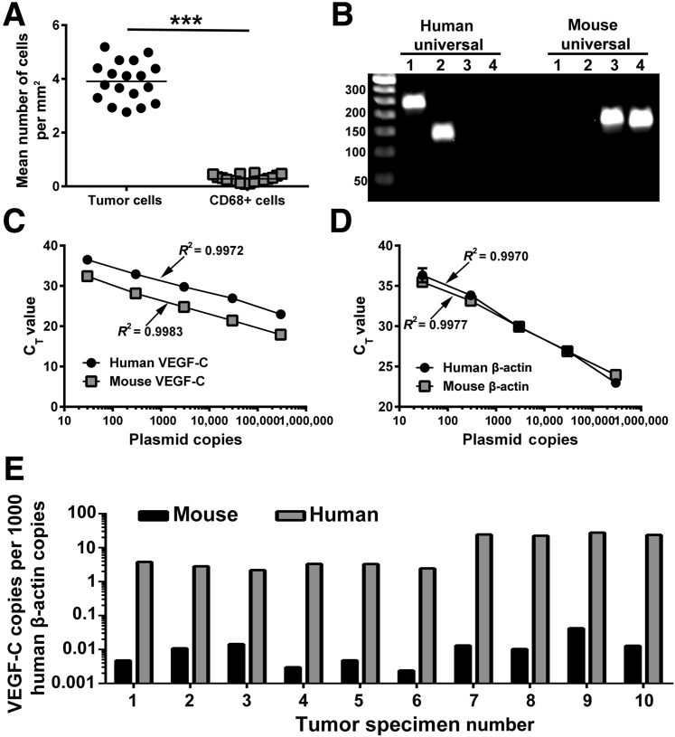 Figure 10