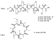 Scheme 4