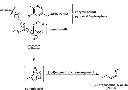 Scheme 2.