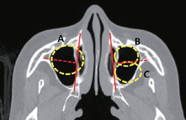 Fig. 1.