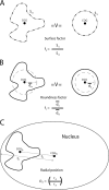 FIG. 2.