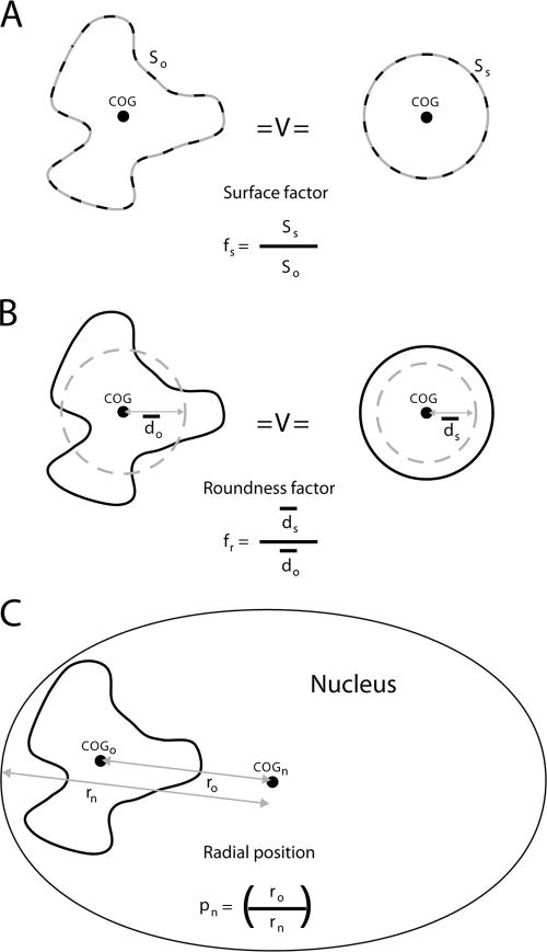 FIG. 2.