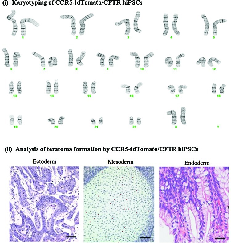 FIG. 7.