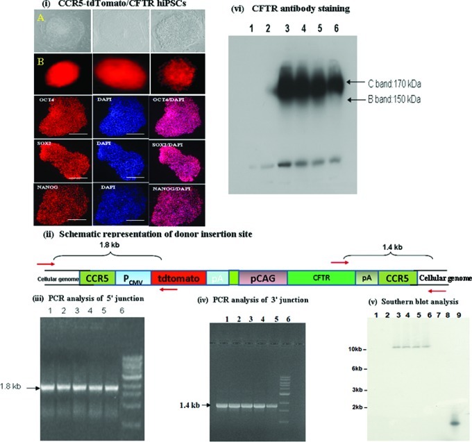 FIG. 6.