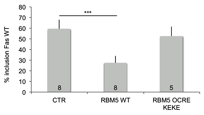 Figure 6—figure supplement 2.