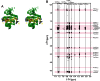 Figure 4—figure supplement 1.