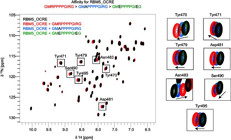 Figure 3—figure supplement 2.