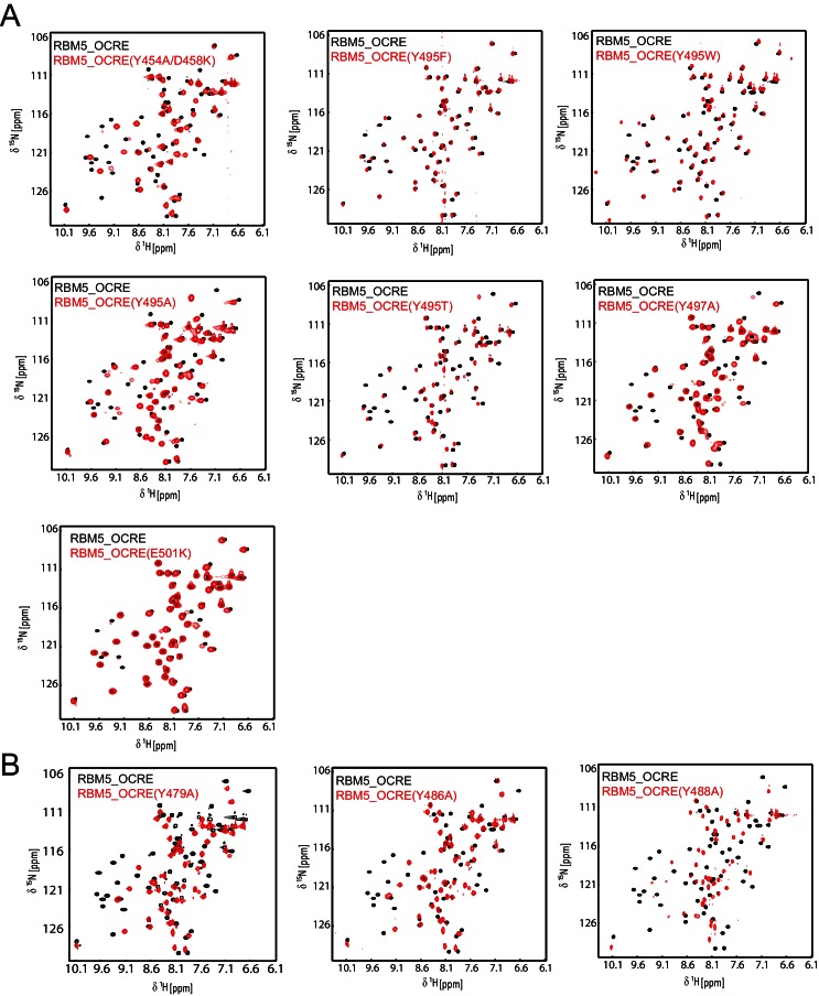 Figure 4—figure supplement 2.