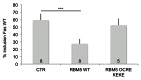 Figure 6—figure supplement 2.