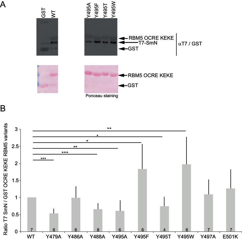 Figure 2—figure supplement 1.