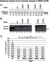 Figure 5—figure supplement 1.