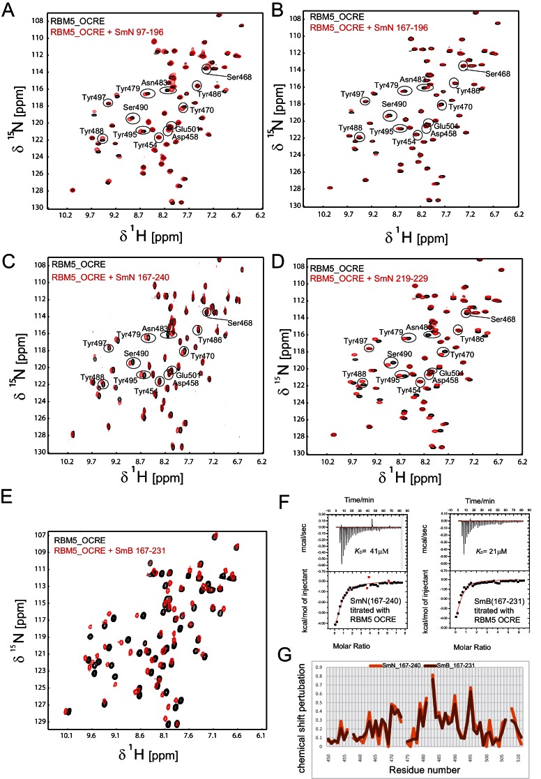 Figure 2—figure supplement 2.