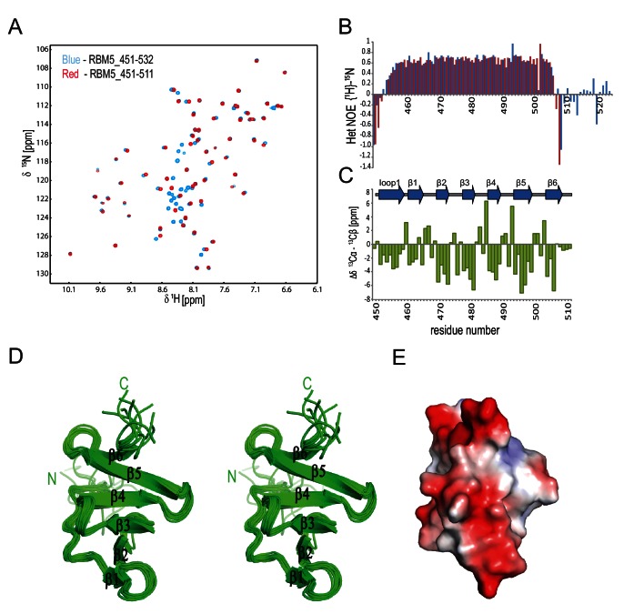 Figure 1—figure supplement 1.