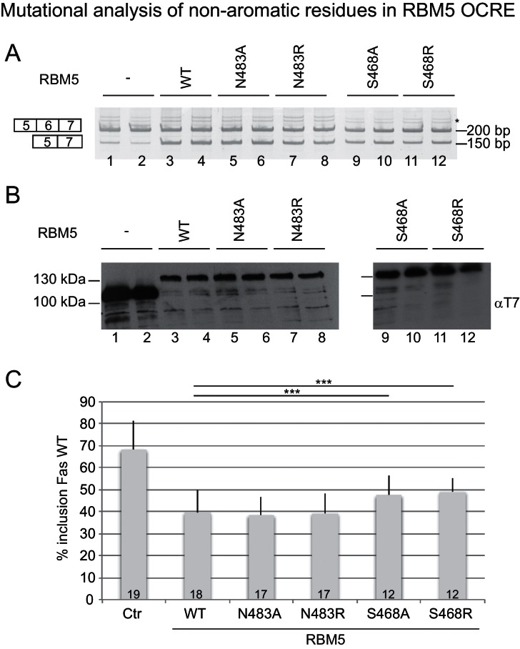 Figure 5—figure supplement 1.