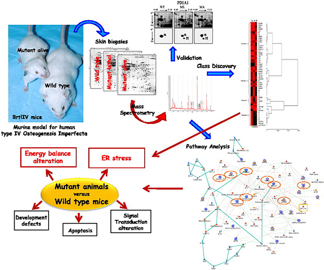 graphic file with name nihms-1633940-f0001.jpg