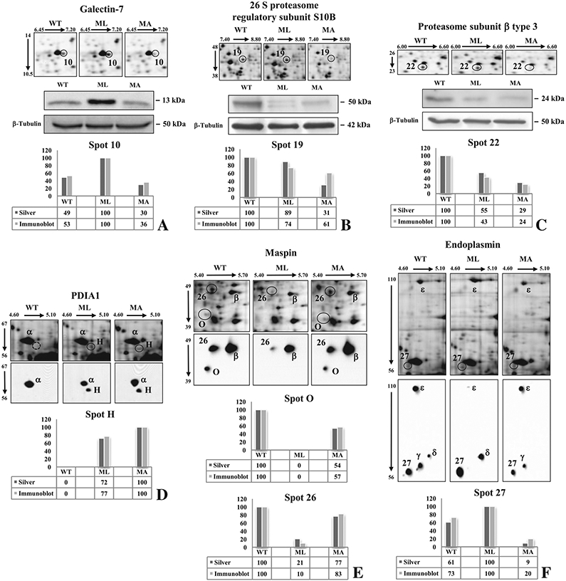 Fig. 4 –