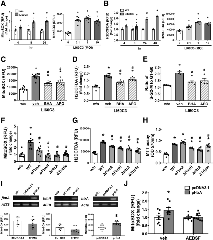 Figure 6