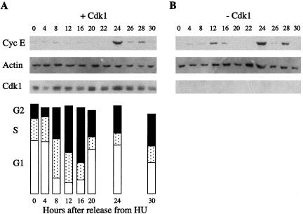 Figure 2.