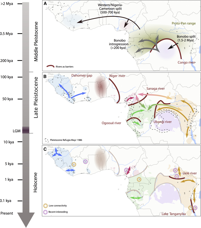 Figure 2