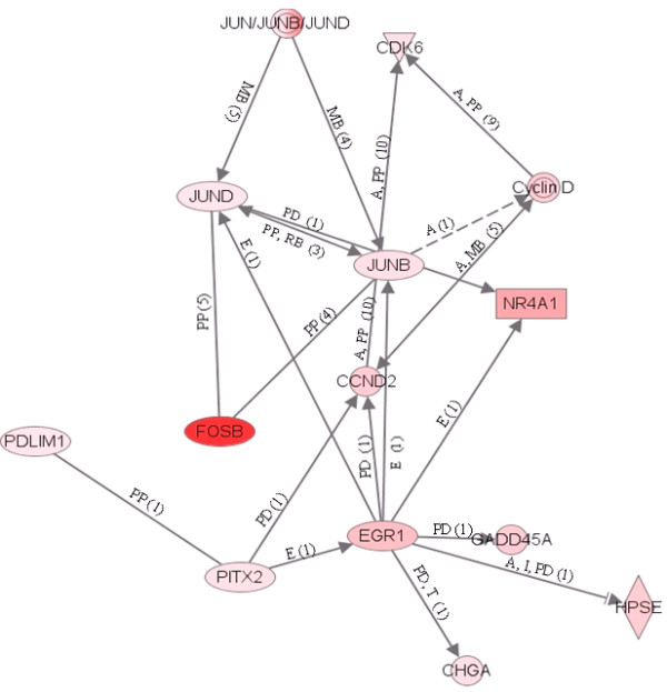 Figure 11