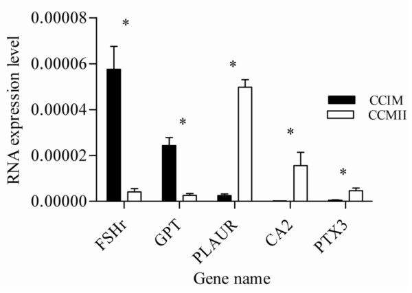 Figure 19