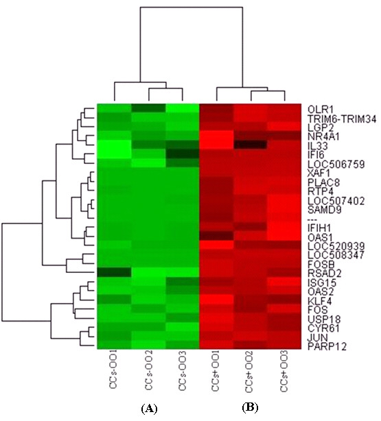 Figure 7