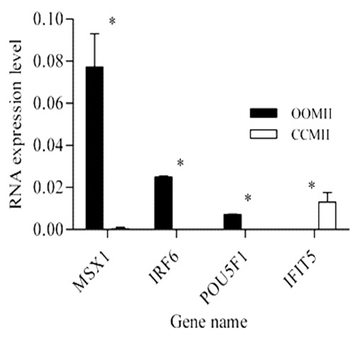 Figure 16