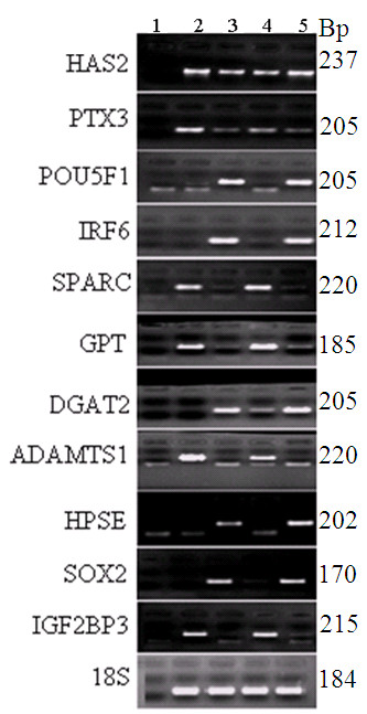 Figure 20