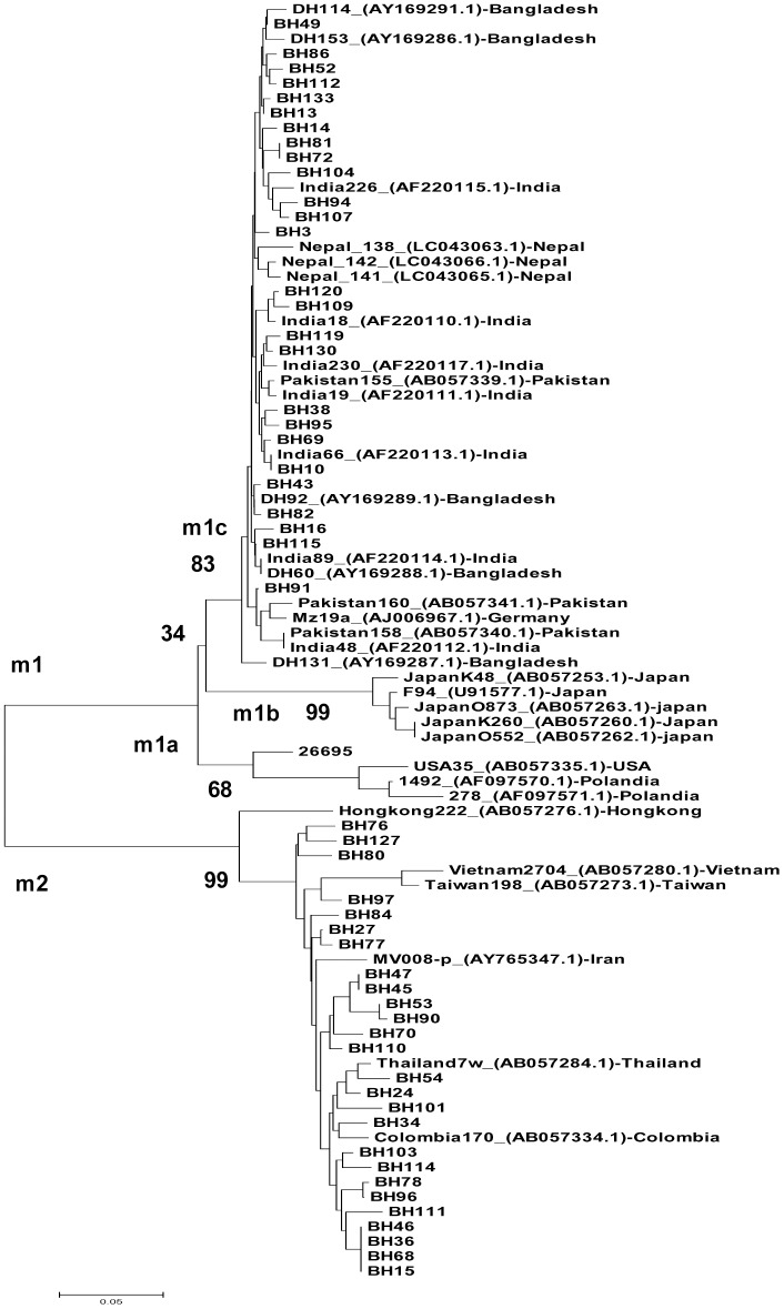 Fig 1