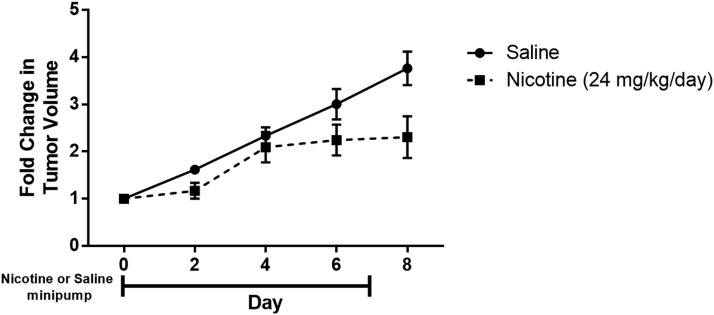 Fig. 8.