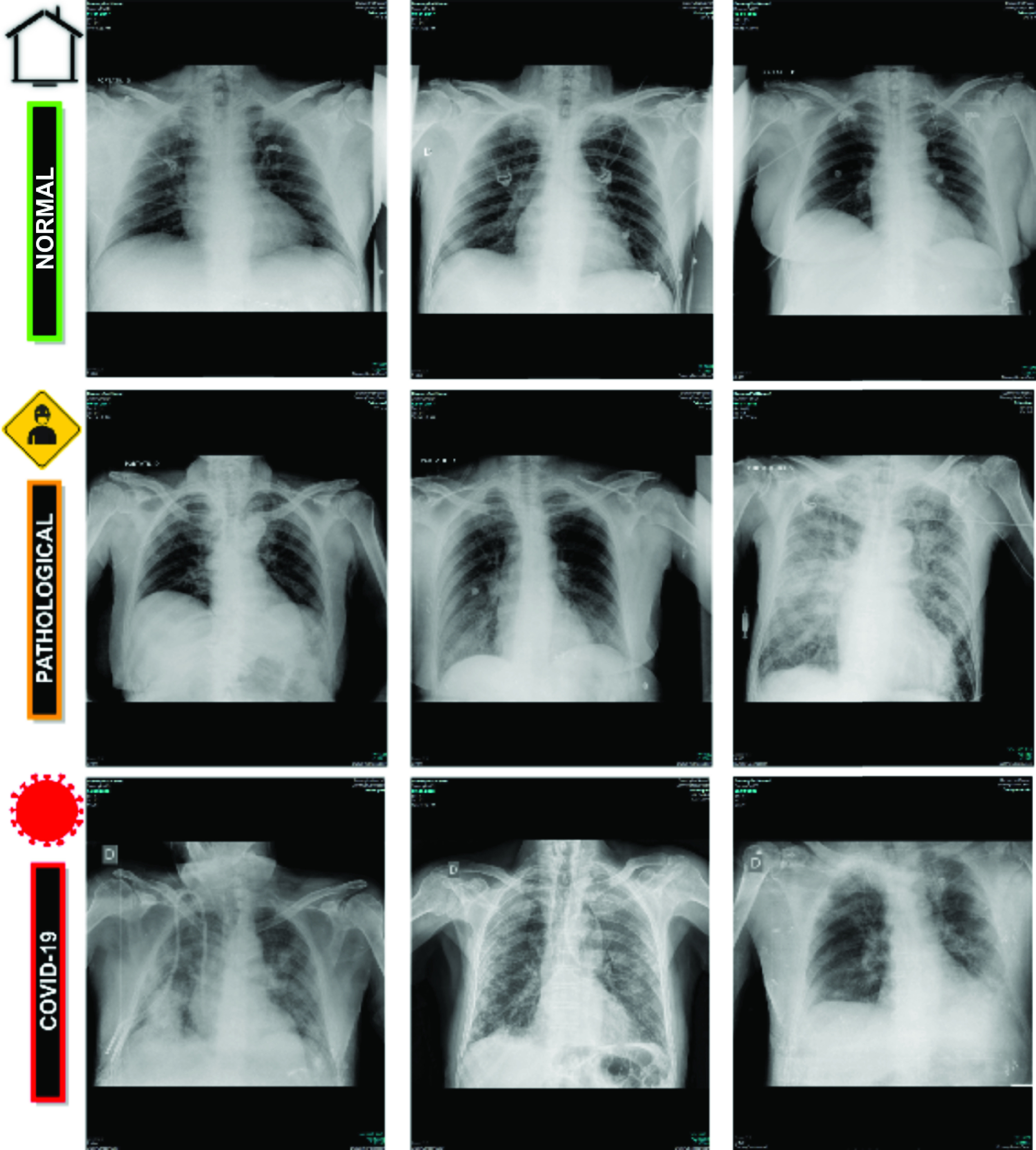 FIGURE 1.