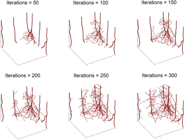 FIGURE 3